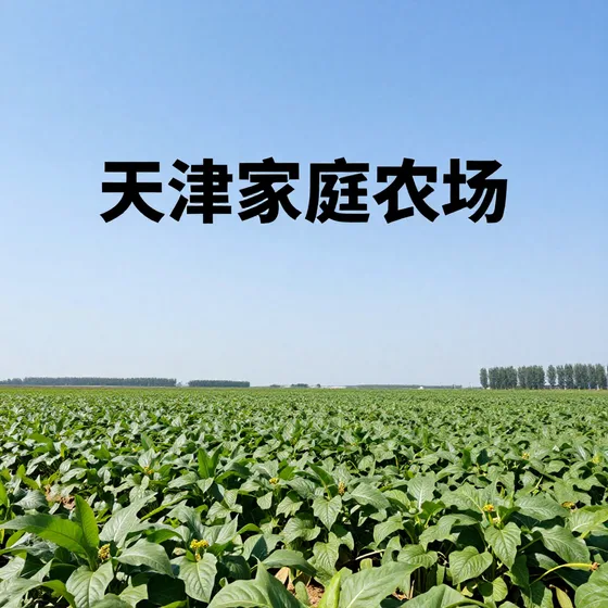 该品牌